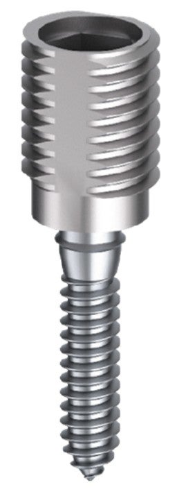 Adjustment Screw