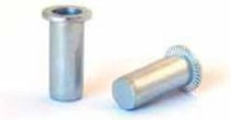 RIVET NUT SEALED ZN